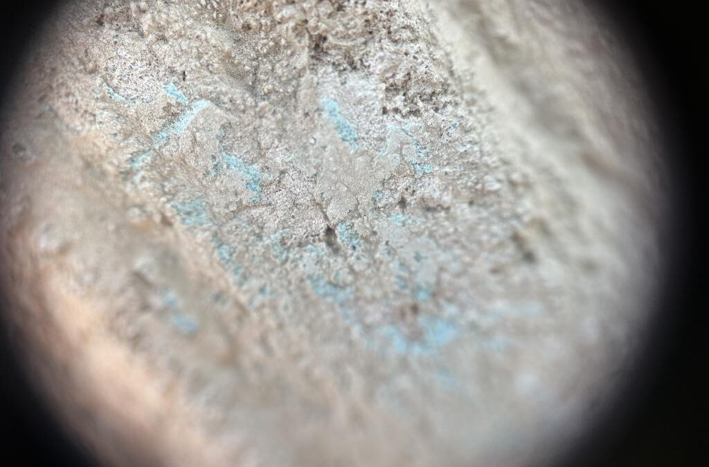 A Closer Look at Ancient Pigments at Karnak Temples