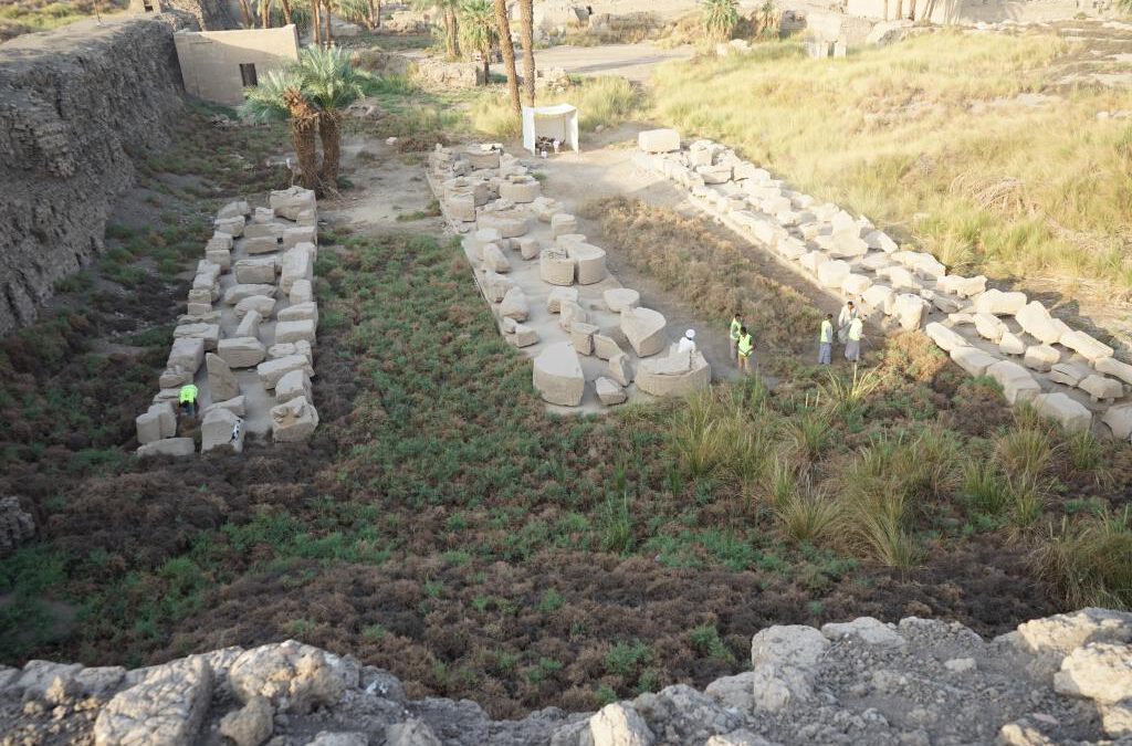 Plant Removal (an important for Conservation at Karnak Temples)